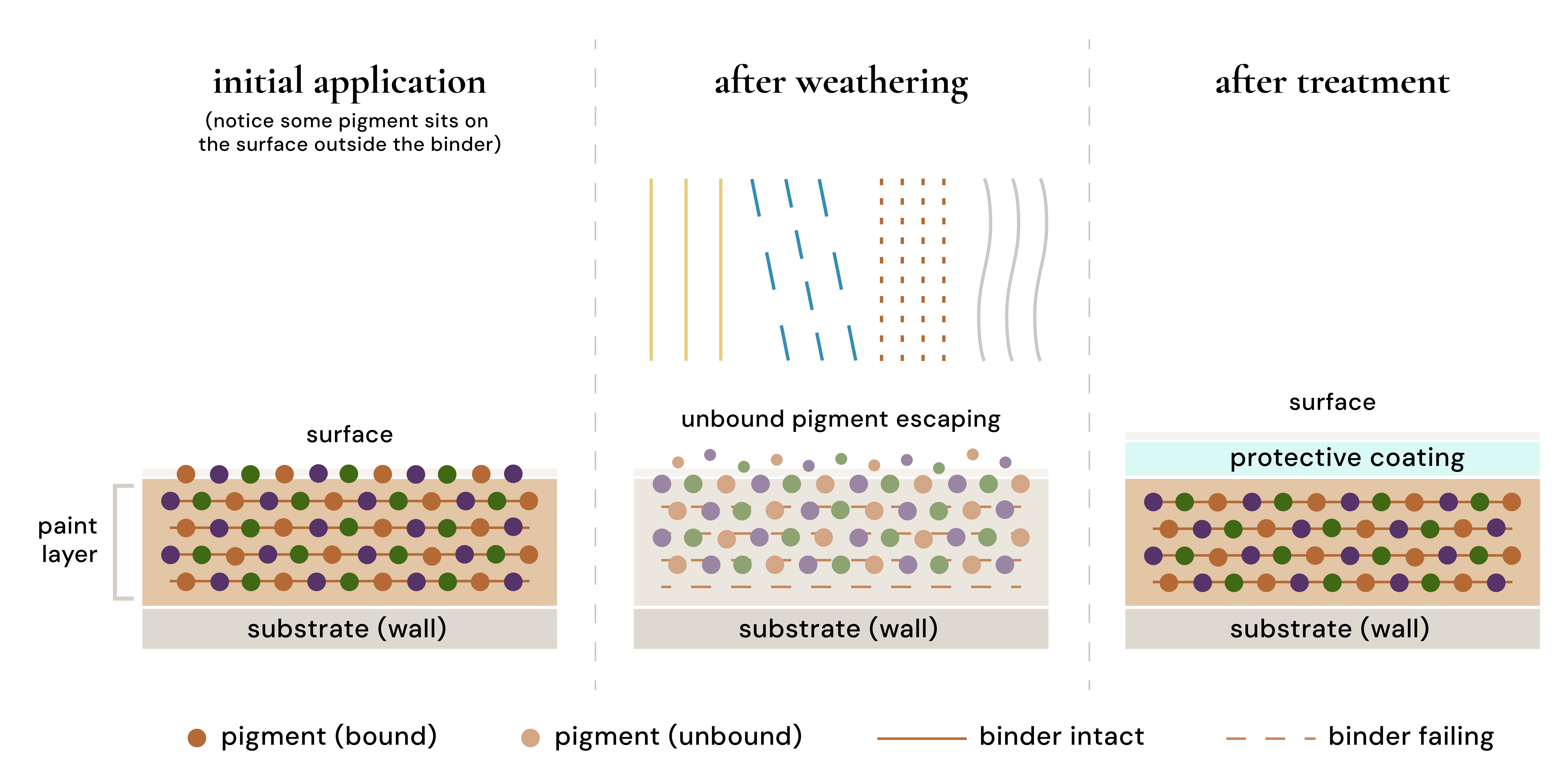 Paint anatomy diagram — initial application, after weathering, after treatment